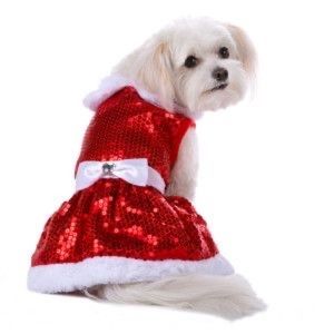 HP {Pet Holiday} XXL “Mrs. Claus” Santa Baby Large Breed Dog Christmas Dress